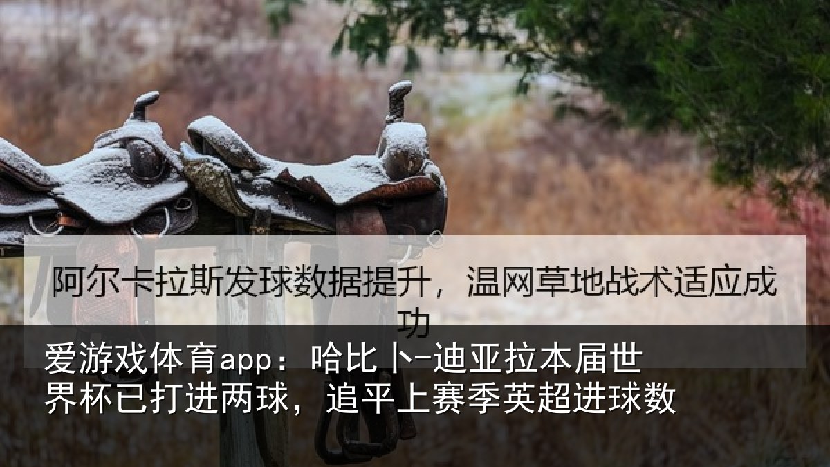 爱游戏体育app:哈比相关情况杯已打进两球,追平上赛季英超进球数