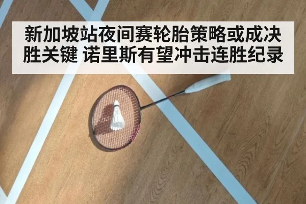新加坡站夜间赛轮胎策略或成决胜关键 诺里斯有望冲击连胜纪录